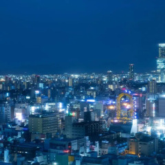 Hotel Nikko Osaka 4* Стандартный номер с различными типами кроватей фото 2