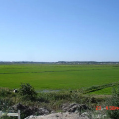 Отель Comporta - Carvalhal