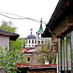 Отель Trendy Inn Велико Тырново фото 12