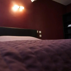 Hotel Francois 3* Номер Делюкс с различными типами кроватей фото 3