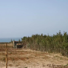 Onda Praia Ferrel Surf Hostel