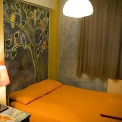 Stray Cat Hostel Стандартный номер разные типы кроватей (общая ванная комната) фото 5
