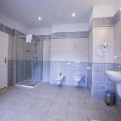 Spa Hotel Cajkovskij Palace 4* Стандартный номер фото 3