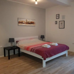 Апартаменты Apartment Grgurević Студия с различными типами кроватей