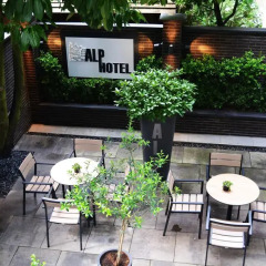 Alp Hotel Amsterdam 2* Стандартный номер фото 8