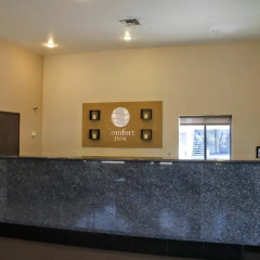 Отель Comfort Inn Near Old Town Pasadena интерьер отеля фото 2
