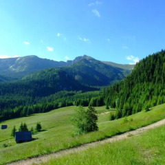 Hotel Górski Kalatówki Закопане фото 4