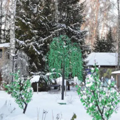 Гостиница Оазис в Лесу фото 16