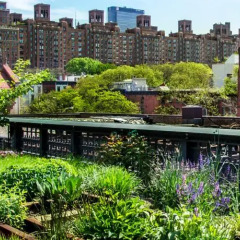 Отель The High Line Hotel США, Нью-Йорк - отзывы, цены и фото номеров - забронировать отель The High Line Hotel онлайн балкон