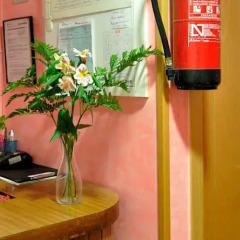 Отель Hostal Naranjos интерьер отеля фото 2