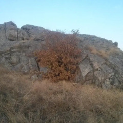 Гостиница River House