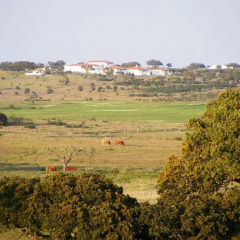Отель Monte do Peral фото 4