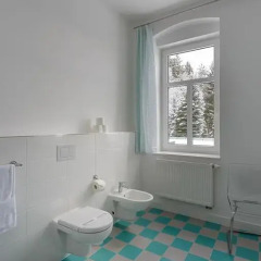 Boutique Hotel SwissHouse 4* Номер Делюкс с различными типами кроватей фото 6