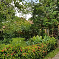 Отель Highbury Colombo Шри-Ланка, Коломбо - отзывы, цены и фото номеров - забронировать отель Highbury Colombo онлайн фото 11