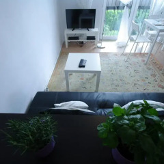 Апартаменты Capitol Studio Apartments Студия фото 5