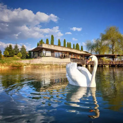 Etno Village Cardaci in Travnik, Bosnia and Herzegovina from 126$, photos, reviews - zenhotels.com outdoors