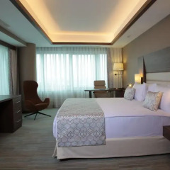 Bricks Airport Hotel Istanbul 3* Номер Делюкс с различными типами кроватей фото 2