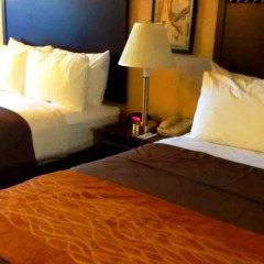 Отель Comfort Inn - Woodland Hills США, Лос-Анджелес - отзывы, цены и фото номеров - забронировать отель Comfort Inn - Woodland Hills онлайн в номере