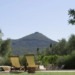 Отель Agriturismo Tra gli Ulivi Кастаньето-Кардуччи фото 2