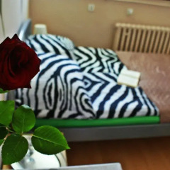 Hostel Universus i Apartament Стандартный номер с разными типами кроватей фото 2