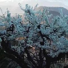 Отель Casa Vacanze Dietroserra Виагранде фото 10