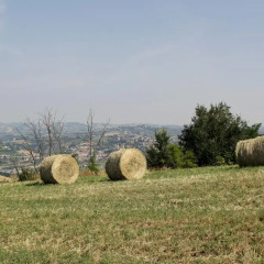Отель B&B Verdi Colline Контрогуерра парковка