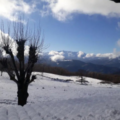 Отель Posada Torcaz Тресвисо