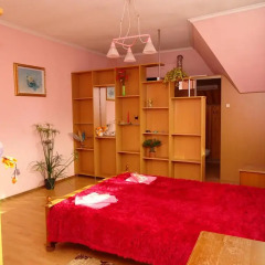 Гостиница Guest house Snezhniy Bars комната для гостей фото 3
