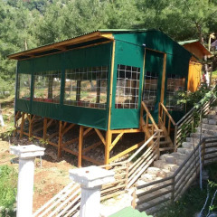 Отель Tree Houses бассейн