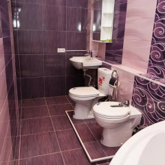 Гостиница Ханзер 3* Номер Делюкс с различными типами кроватей фото 12