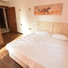Villa Belek Happyland Улучшенная вилла с различными типами кроватей фото 15