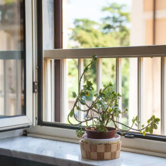 Отель B&B Turra Италия, Рим - отзывы, цены и фото номеров - забронировать отель B&B Turra онлайн балкон