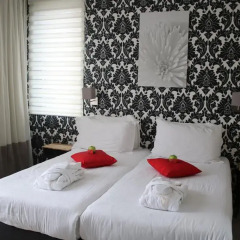 Alp de Veenen Hotel 3* Стандартный номер с 2 отдельными кроватями фото 8
