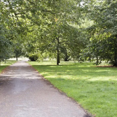 Отель Thistle Kensington Gardens Великобритания, Лондон - отзывы, цены и фото номеров - забронировать отель Thistle Kensington Gardens онлайн фото 4