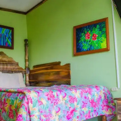 Отель Emerald View Resort Villa 3* Стандартный номер с различными типами кроватей фото 7