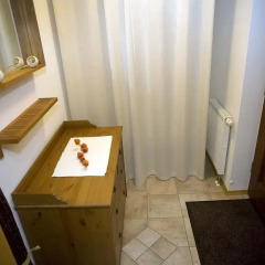 Отель Ferienwohnung Ginkgo Германия, Дрезден - отзывы, цены и фото номеров - забронировать отель Ferienwohnung Ginkgo онлайн удобства в номере