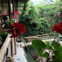 Отель Ta Phin Stone Garden Ecological Шапа фото 6