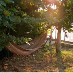 H.A.N.D Surf Hostel