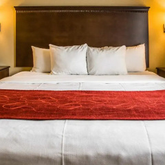 Отель Comfort Suites Sarasota - Siesta Key 3* Люкс с различными типами кроватей фото 2
