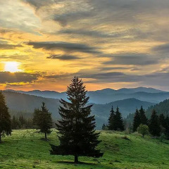 Отель Amampuri Village Смолян
