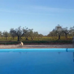 Отель Casa Rural Valdezaque Ла-Гарровилья бассейн