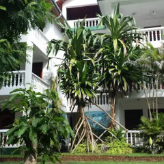 Отель Jungle Paradise Back House Шри-Ланка, Хиккадува - отзывы, цены и фото номеров - забронировать отель Jungle Paradise Back House онлайн