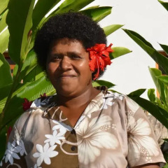 Отель Fijian Star