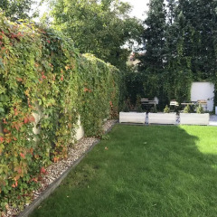 Отель La Petite B&B Польша, Гданьск - отзывы, цены и фото номеров - забронировать отель La Petite B&B онлайн фото 2