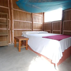 Отель Pariango Beach Motel 2* Стандартный номер с различными типами кроватей фото 6