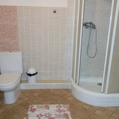 Гостиница Diana Guest House ванная