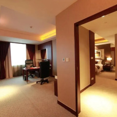 Vision Hotel 4* Представительский люкс с различными типами кроватей фото 3