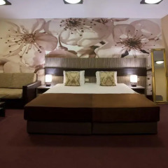 Plaza Hotel интерьер отеля фото 2