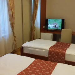Отель Villa Forest 4* Стандартный номер с различными типами кроватей фото 3