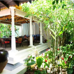 Отель Orchard House Galle Шри-Ланка, Галле - отзывы, цены и фото номеров - забронировать отель Orchard House Galle онлайн фото 9